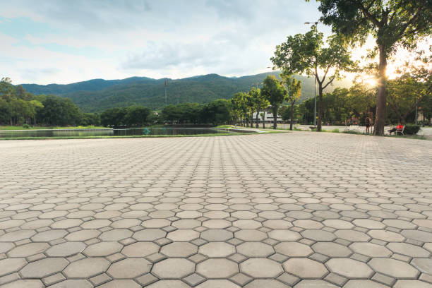 Best Driveway Resurfacing Pavers  in Bicknell, IN